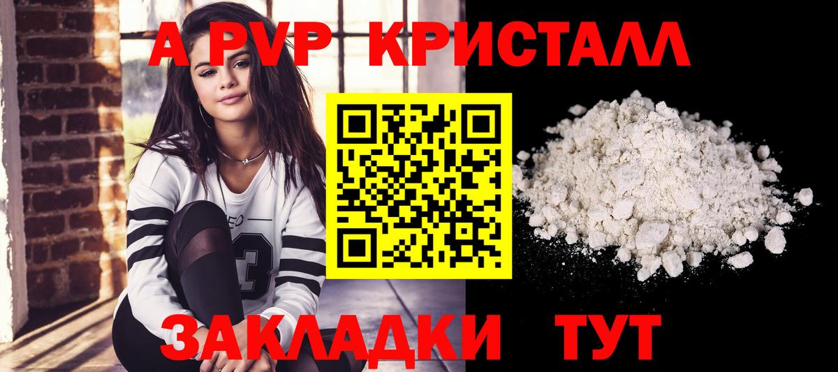 Альфа ПВП СК КРИС Великий Новгород