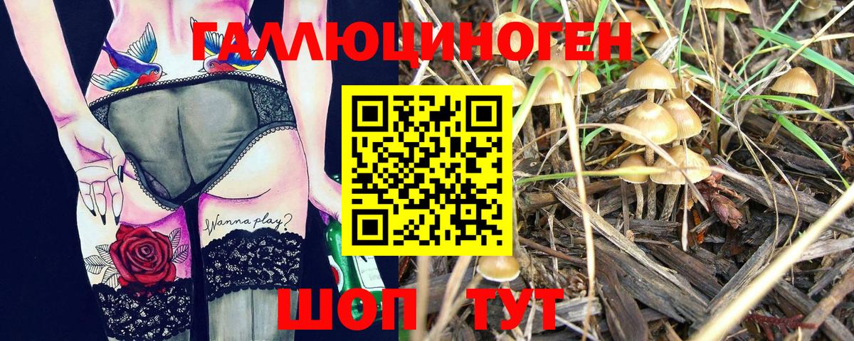 Галлюциногенные грибы прущие грибы Великий Новгород