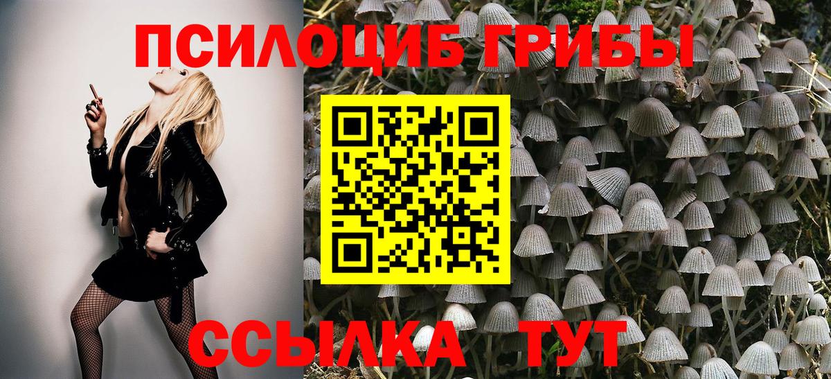 Галлюциногенные грибы GOLDEN TEACHER  Вход с VPN  Великий Новгород  Галлюциногенные грибы мицелий 